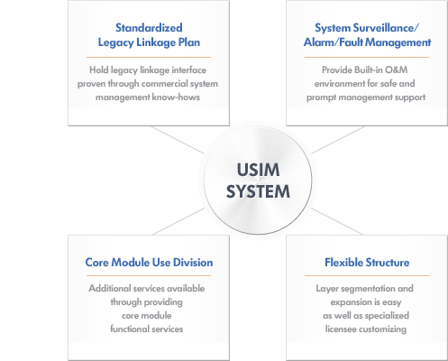 usim system