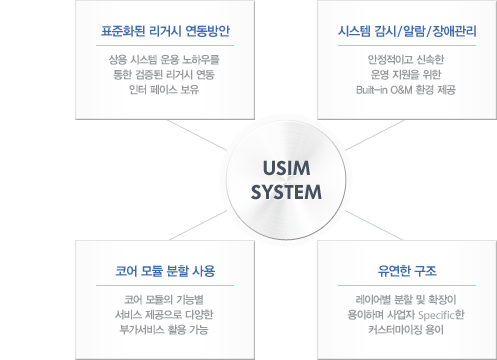 usim system